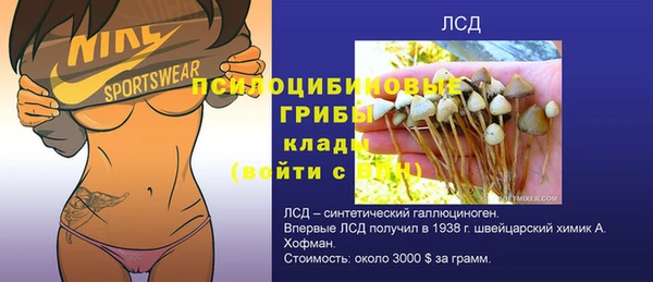 PSILOCYBIN Верхнеуральск