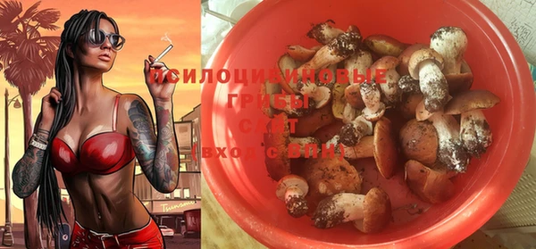 PSILOCYBIN Верхнеуральск