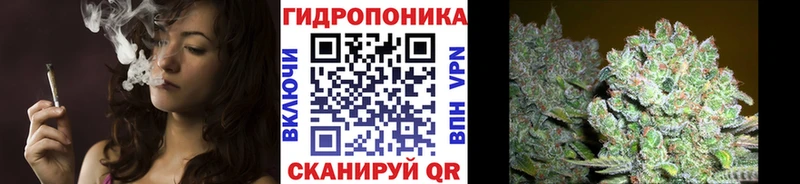 Бошки Шишки Amnesia Инза